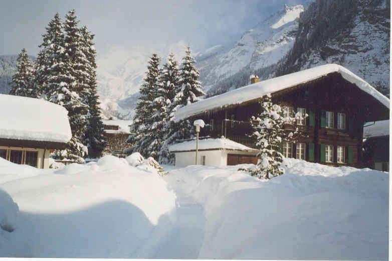 Familienferien Im Chalet Baergli Kandersteg Bagian luar foto